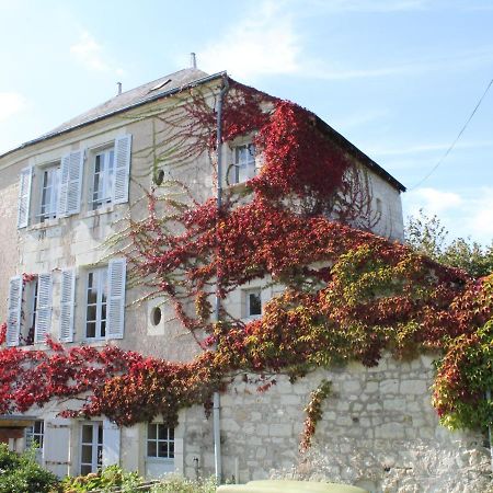 Gite Au Calme Avec Jardin Et Wifi A La Roche-Posay - Fr-1-541-52ヴィラ エクステリア 写真